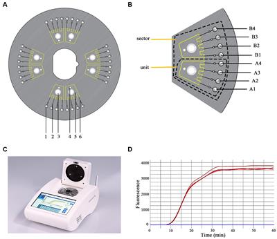 Parallel detection of multiple zoonotic parasites using a real-time fluorogenic loop-mediated isothermal amplification-based quadruple-sample microfluidic chip